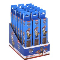 Pat Patrouille set of 2 children's bamboo toothbrushes