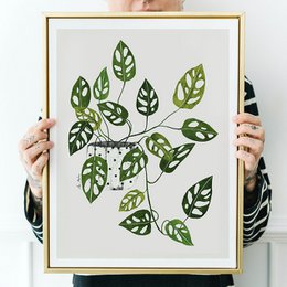 Monstera Obliqua kunsttryk