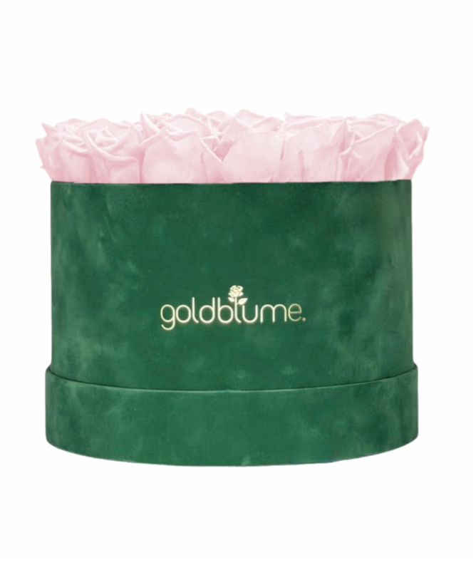 Colección Terciopelo Verde