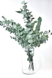 Dried eucalyptus bouquet, 70 cm tall, available in green and red color variants.