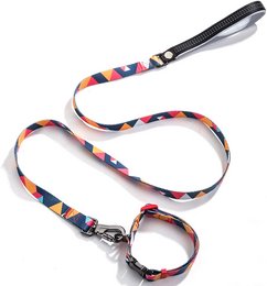 Multicolor dog leash with adjustable length and durable nylon material. Features a variety of vibrant colors in a braided pattern design.