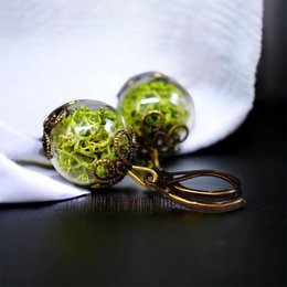 Pendientes de musgo real - Pendientes de plantas de musgo verde de Islandia - VINOHR-17