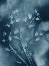 A moody, abstract image of delicate, drooping floral shapes in shades of blue and gray. The image has a soft, ethereal quality, with the flowers appearing to be in motion or floating.