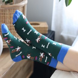 Corgi-Hunde-Socken