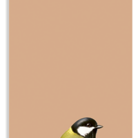 Notepad Din Lang Just Friends