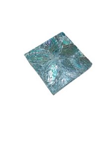 Untersetzer Abalone. SIE 5AL