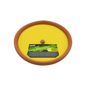 Citronella-Kerzen 8 Stunden für 17 cm Terrakotta-Topf für den Garten