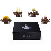Magnetic box of 6 Teelini black tea