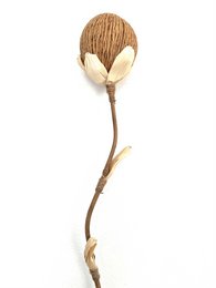 Decorative object with a natural, organic appearance featuring a round, beige-colored seed pod attached to a slender, curved wooden stem.