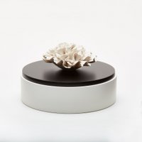 Lacquered wood and porcelain box -IWA