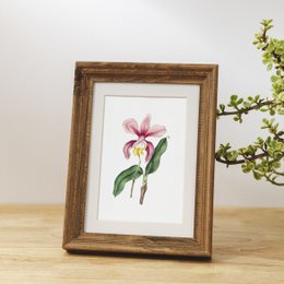 Botaniczny Art Print Mix x16 | Vintage ilustracja kwiat | Dekoracje ścienne