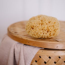 Natural sea sponge for bath and baby, available in sizes from small (8cm) to gigantic (25cm), made of soft, porous material in a natural yellow color.