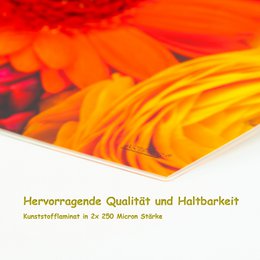 Artipics Platzset abwaschbar 4er-Set Flower Power Tischset Kunststoff 42x30 cm Tisch Unterlegmatten Platzdeckchen Deko Tischuntersetzer Küche, Essbereich, Gäste, Drinnen, Draußen