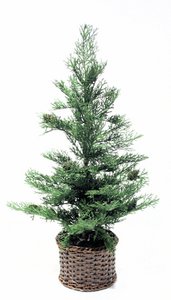 Weihnachtsbaum im Korb