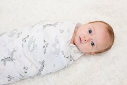 Lulujo Swaddle 120x120 - Afrika