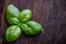 Pesto basil | 80g