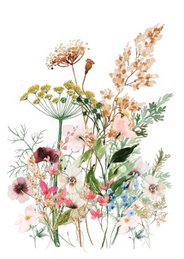 Vibrant bouquet of wild flowers including daisies, poppies, and other delicate blooms in a natural, earthy color palette. Suitable for friendship cards, stationery, or home decor.