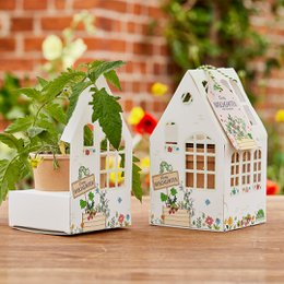 Greenhouse Finn's snack garden, tomato seeds in a decorative house-shaped container with colorful floral designs.
