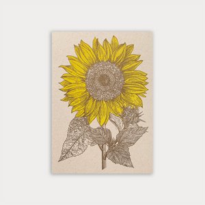 Postcard / sunflower / eco paper