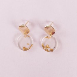 Pendientes FRIDA