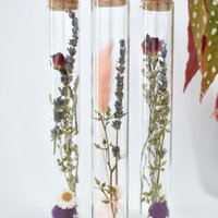 Droogbloemen buisjes - 20 cm