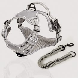  Adjustable dog harness with shock absorber, available in sizes S, M, L, XL, made by ne&no.