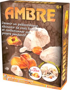 PALEO-KIT: BERNSTEIN