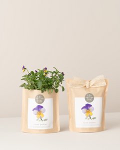 Wachsen Bag Wild Pansy