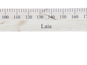 GIANT WOODEN RULER
