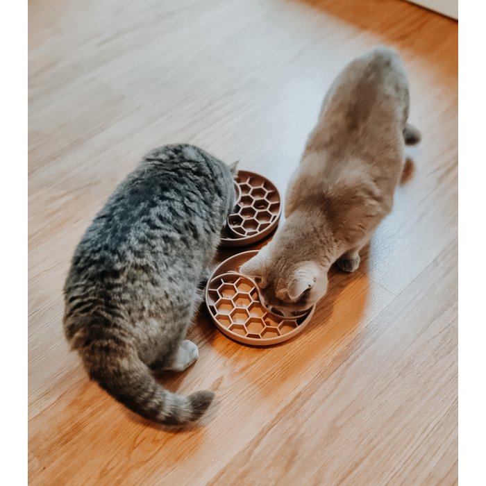 Anti-Schlingnapf Für Hunde - Rutschfester Futternapf Langsames Fressen