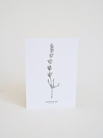 Herbal illustrated Cards