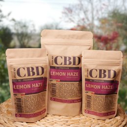 CBD Flowers Lemon Haze XL