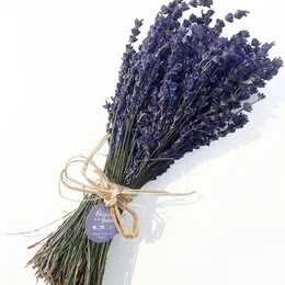 Bunch of dried lavender flowers, with a rustic twine bow and a small tag. The lavender is a deep, rich purple color and the stems are neatly bundled together.