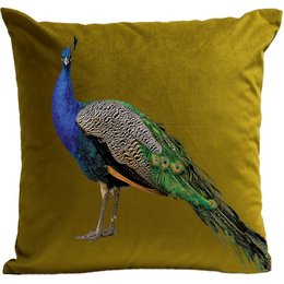 Decorative throw pillow featuring a vibrant peacock design in shades of blue, green, and brown on an olive green background. Suitable for use in living rooms, bedrooms, or other home decor settings.