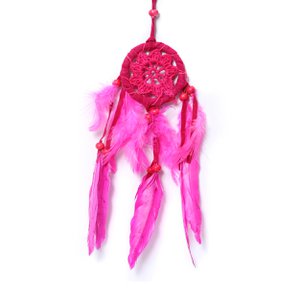 De kleine haakdromer