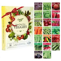 Grow your own veggies with this indoor and outdoor vegetable seed kit. The kit includes a variety of common vegetable seeds for easy growing, including leafy greens, root vegetables, and more. Suitable for both indoor and outdoor planting.
