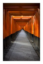 A long, winding path lined with rows of bright orange torii gates leading through a serene, tranquil setting.
