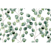 Splash guard - Green Nature