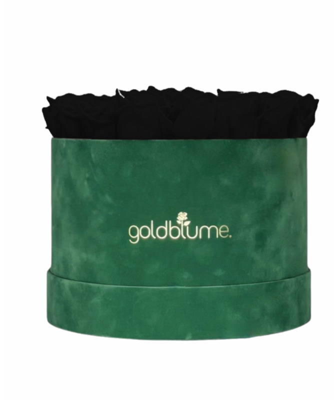 Colección Terciopelo Verde