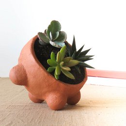 Emma Terracotta Plantekasse