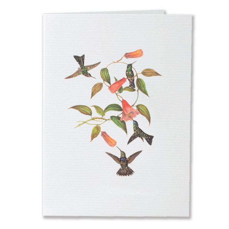 Absolutely Fabulous Greeting Card Copy