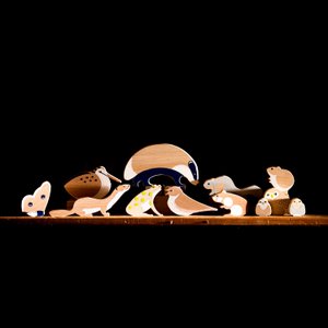 Nocturnal animals set