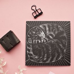 Carte postale | Chat recroquevillé