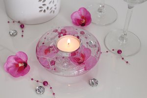 Dream Ufo Mini Pink Orchid VE 6