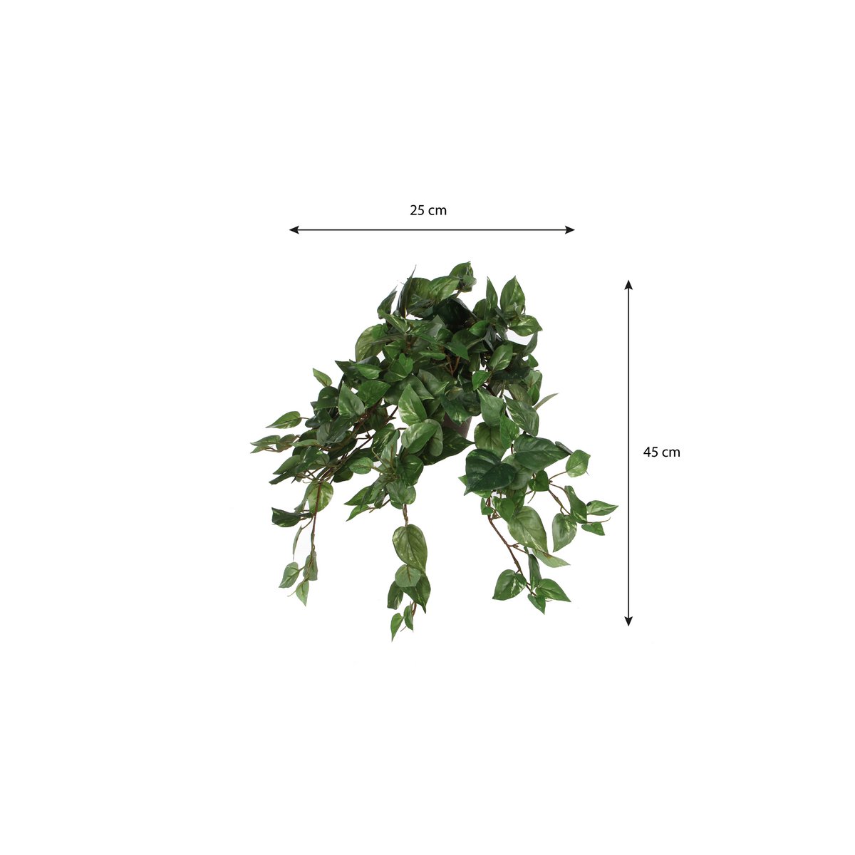 Kunst hangplant Scindapsus hanging Groen