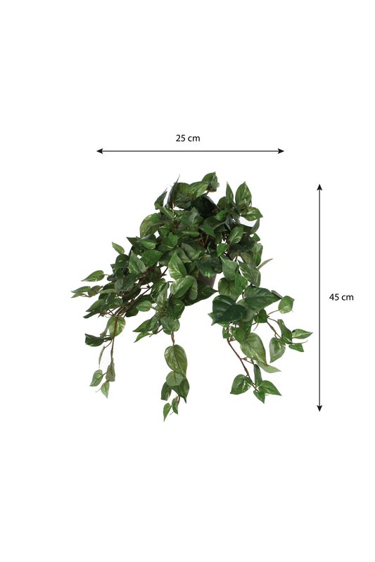 Kunst hangplant Scindapsus hanging Groen