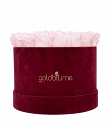 Velvet Bordeaux Collection