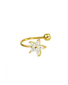 Blumenohrmanschetten