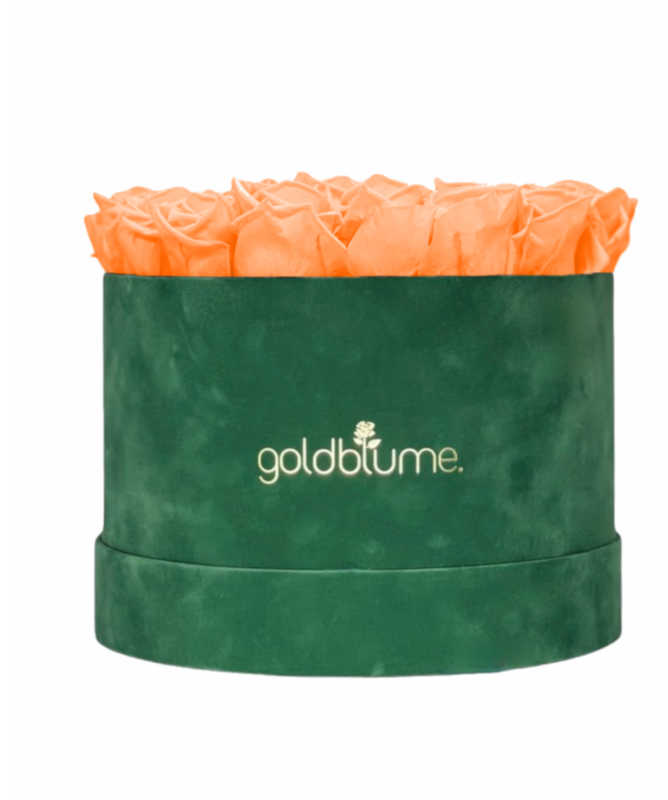 Colección Terciopelo Verde