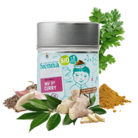 MEIN ERSTES CURRY – OHNE SALZZUSATZ – OHNE ZUSATZSTOFFE – AB 8 MONATEN – 40G